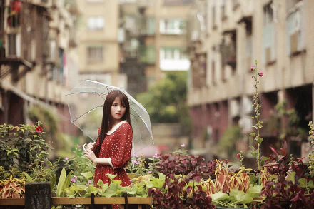 red dress brunette umbrella rain model woman asian HD Desktop Wallpaper | Background Image