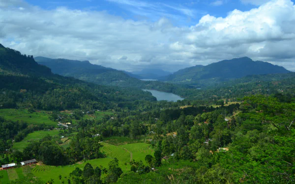 Sri Lanka green field cloud tree mountain nature photography landscape HD Desktop Wallpaper | Background Image