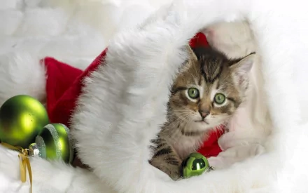 A cute kitten wearing a Santa hat peeks out from a cozy white fur setting, surrounded by green ornaments, capturing the festive spirit of Christmas.