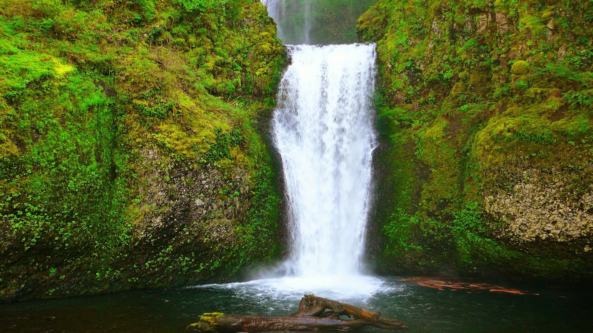 Download Green Moss Nature Waterfall HD Wallpaper