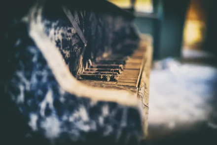 instrument music piano HD Desktop Wallpaper | Background Image