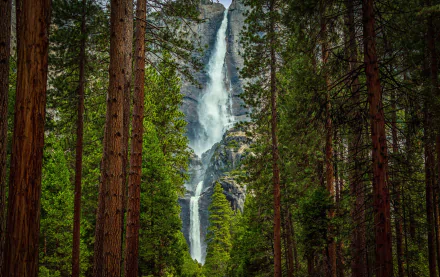 A stunning view of a waterfall cascading down rocky cliffs, surrounded by tall green trees in the forest of Yosemite National Park. This HD image captures the beauty of nature perfectly.