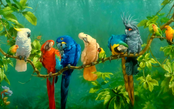 Animal Parrot Birds Parrots Bird Tropical Colors Macaw Colorful Branch Leaf Cockatoo HD Wallpaper | Background Image