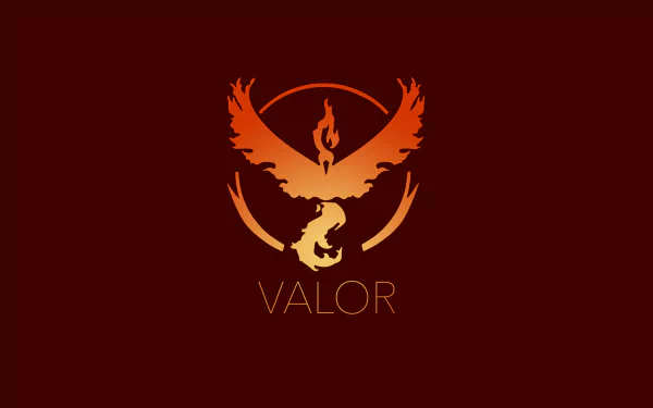  Team Valor