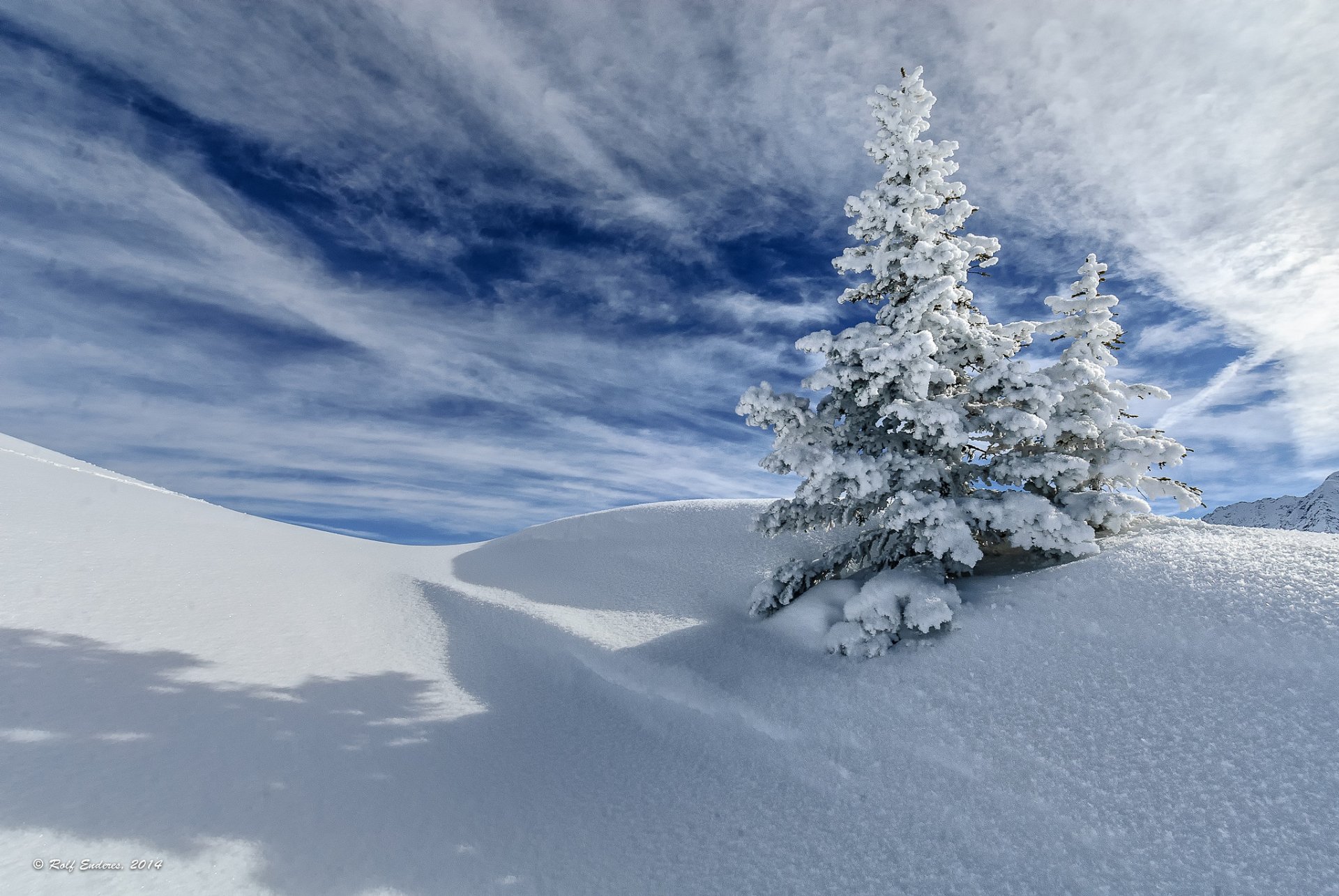 Download Tree Snow Nature Winter HD Wallpaper | 2048x1371 | Wallpaper Abyss