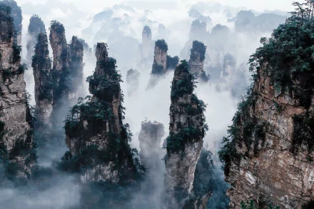 Fog envelops towering cliff pillars and trees in Zhangjiajie National Forest Park, China, creating a mystical landscape in this HD desktop wallpaper.