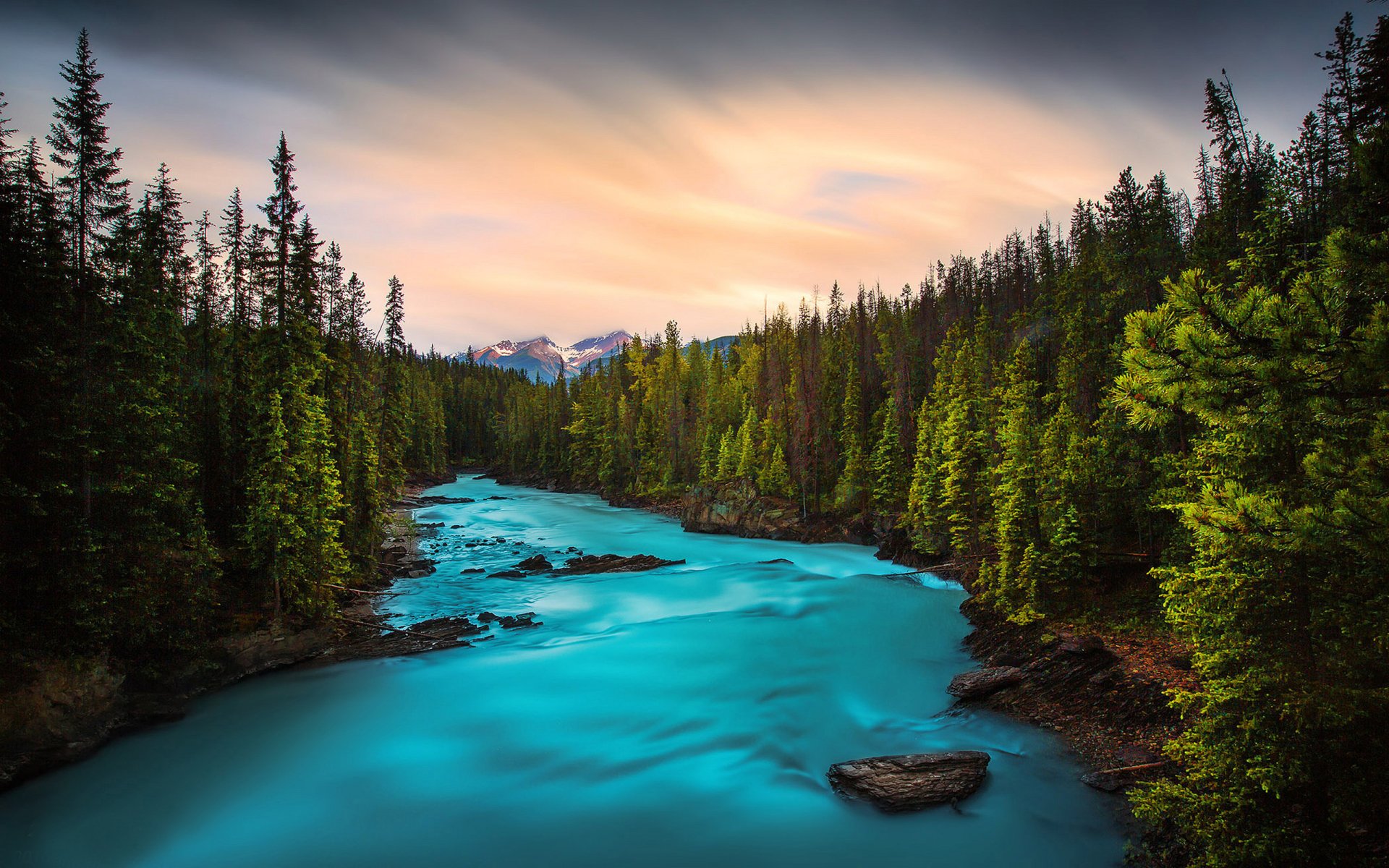 Download Blue Tree Forest Mountain Nature River HD Wallpaper