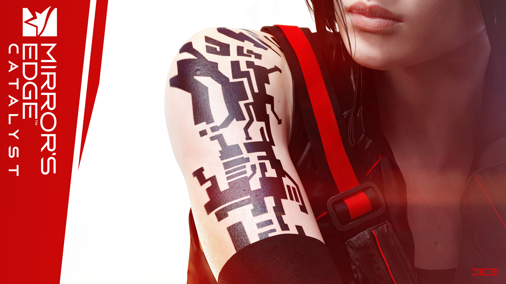 Artwork Hanging On, Mirror's Edge: Catalyst, DICE