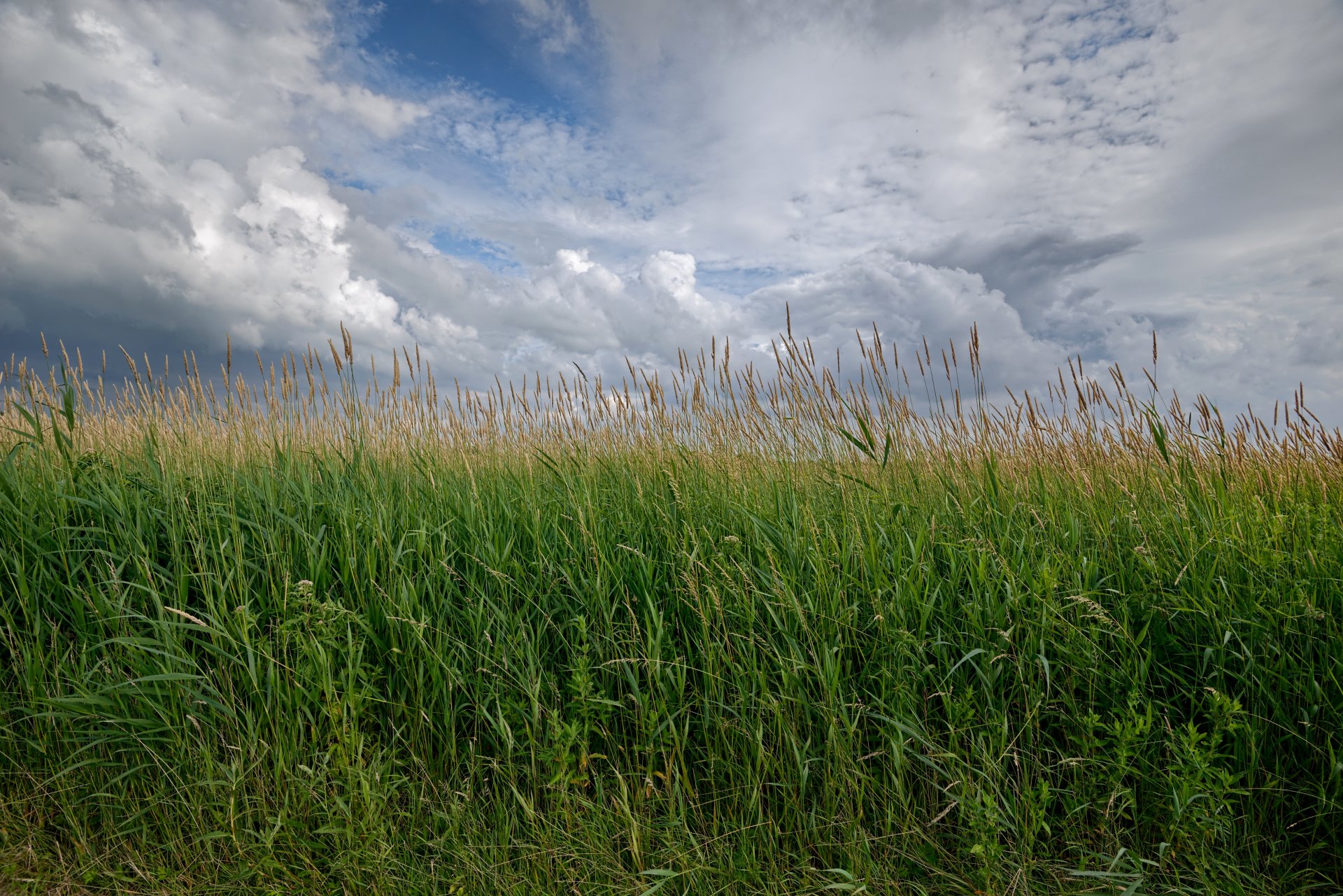 Download Cloud Sky Nature Field 4k Ultra HD Wallpaper