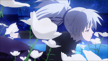 Yin (Darker Than Black) Anime Darker than Black HD Desktop Wallpaper | Background Image