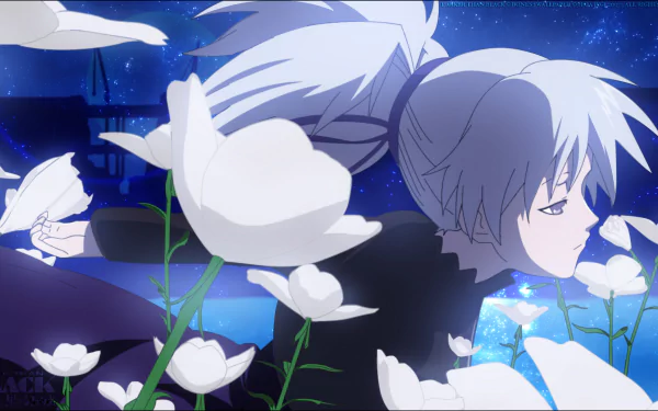 Yin (Darker Than Black) Anime Darker than Black HD Desktop Wallpaper | Background Image