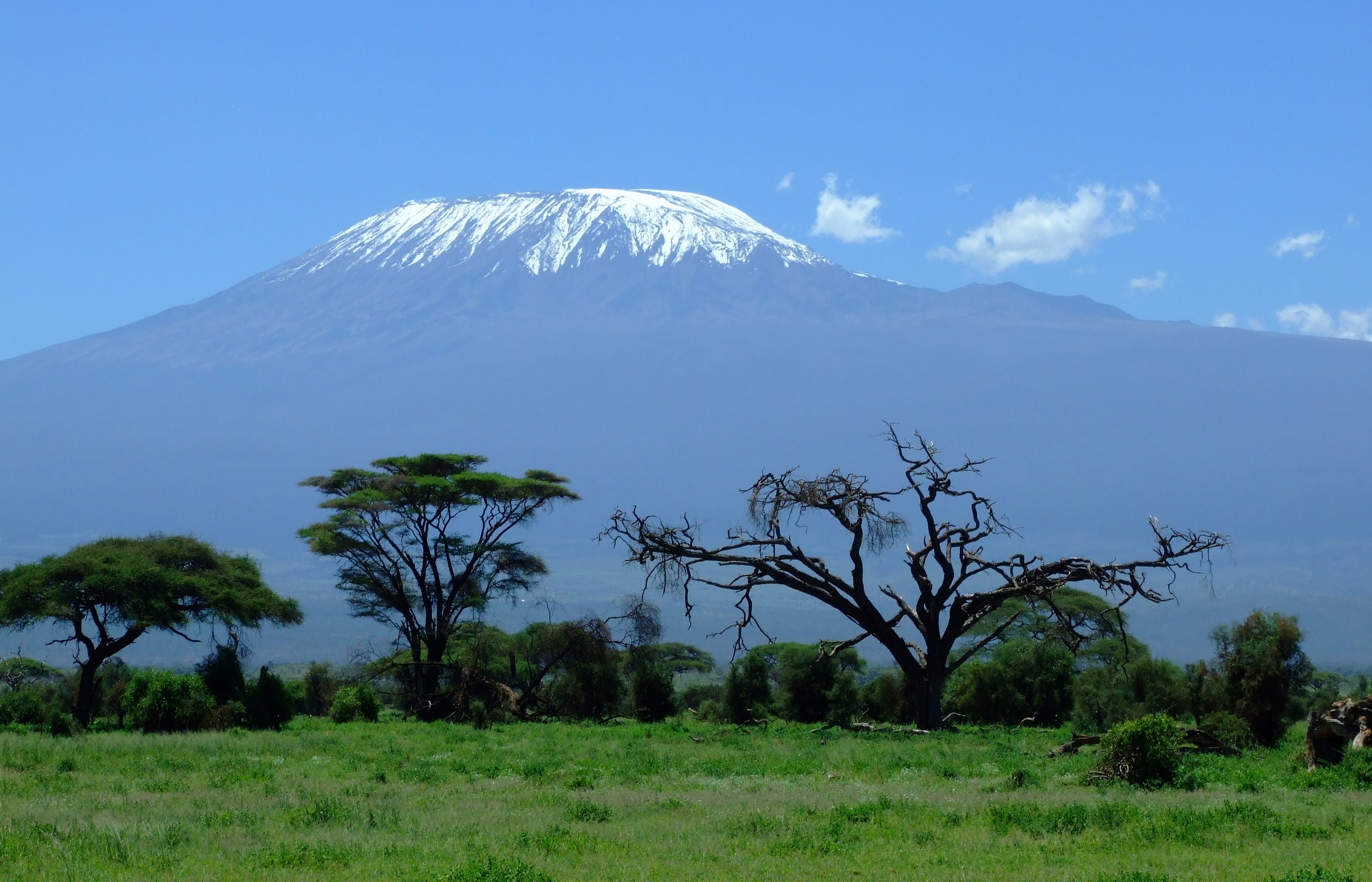 Kilimanjaro Mountain Wallpaper