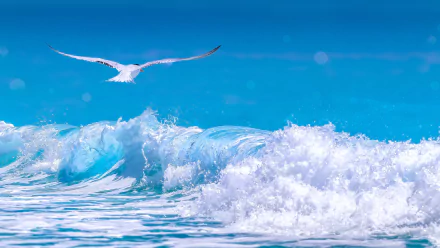 A vibrant HD ocean scene shows a white Arctic Tern soaring above blue waves with frothy white foam, capturing the dynamic movement of ocean waves and the bird in flight.