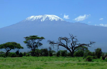 HD desktop wallpaper of Mount Kilimanjaro in Africa, featuring a volcanic snow-capped peak, lush green landscape, and scattered trees under a clear blue sky.