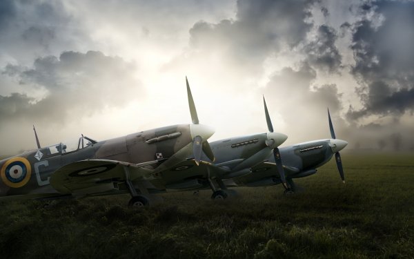 Military Supermarine Spitfire Military Aircraft Aircraft Warplane HD Wallpaper | Background Image