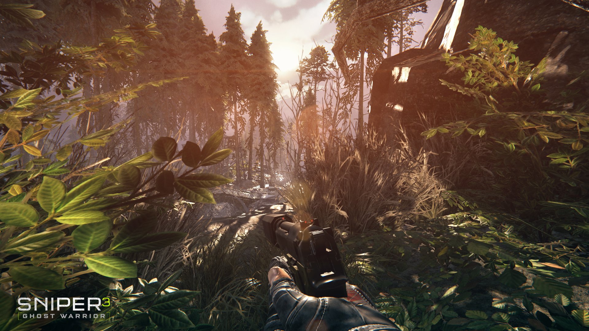 HD PC desktop wallpaper from the video game Sniper: Ghost Warrior 3, featuring a sniper aiming through dense forest foliage at sunset.