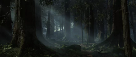 video game Star Wars Battlefront (2015) HD Desktop Wallpaper | Background Image