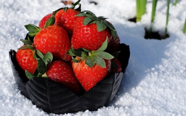 Food Strawberry Fruits Berry Fruit Snow HD Wallpaper | Background Image