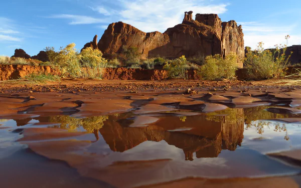 Sunlit sandstone formations and desert vegetation reflect clearly in shallow water at Arches National Park, Utah, showcasing the rugged wilderness of the USA.