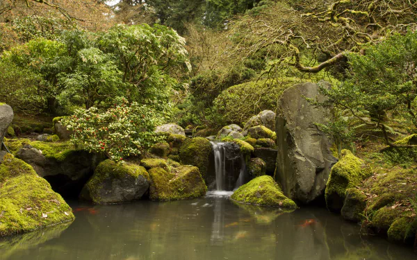 A serene Japanese garden featuring lush greenery, a tranquil pond with koi fish, and a cascading waterfall, all captured in stunning 4K Ultra HD detail.