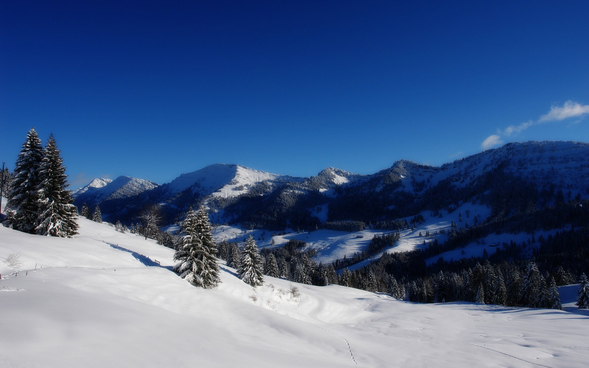 HD desktop wallpaper showcasing a scenic winter landscape with snow-covered trees and majestic snowy mountains under a clear blue sky.