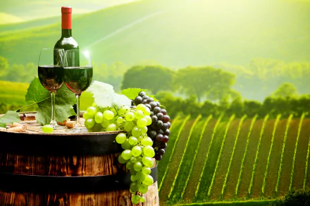 4K Ultra HD still life featuring wine glasses, a bottle, and clusters of green and purple grapes on a barrel, set against a sunlit vineyard landscape.