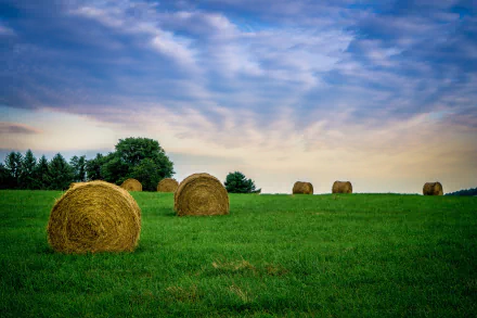 HD desktop wallpaper featuring a serene nature scene with vibrant green grass and multiple haystacks under a colorful, partly cloudy sky.
