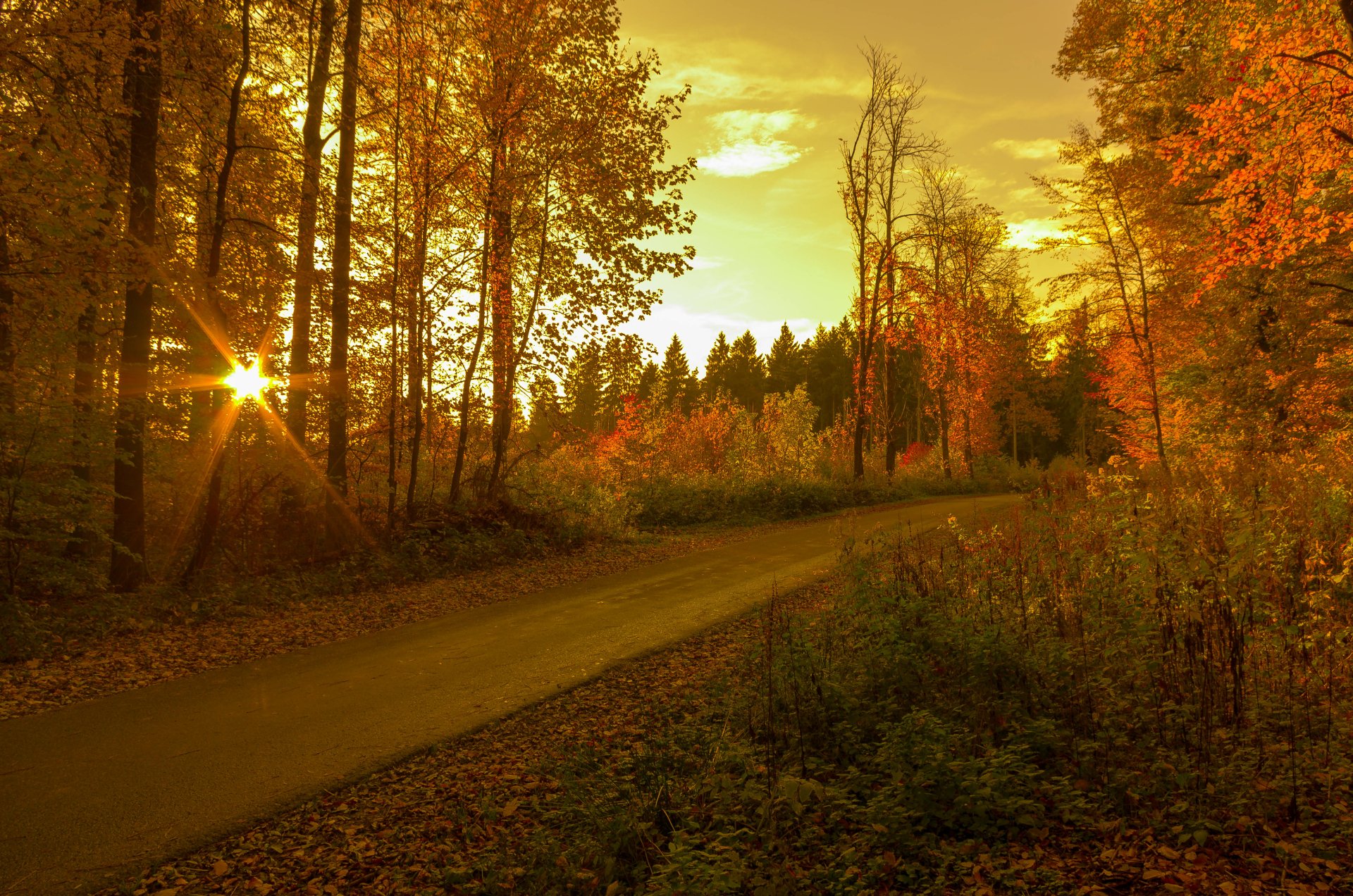 Download Sunbeam Sunset Fall Man Made Road 4k Ultra HD Wallpaper