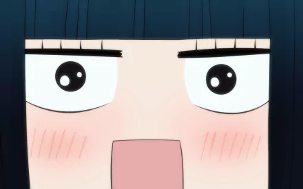 Sawako Kuronuma Anime Kimi Ni Todoke HD Desktop Wallpaper | Background Image