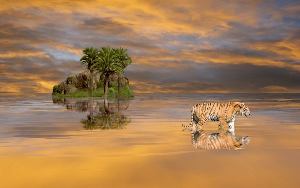 Fantasy Tiger Fantasy Animals Beach Tropical Ocean Palm Tree HD Wallpaper | Background Image
