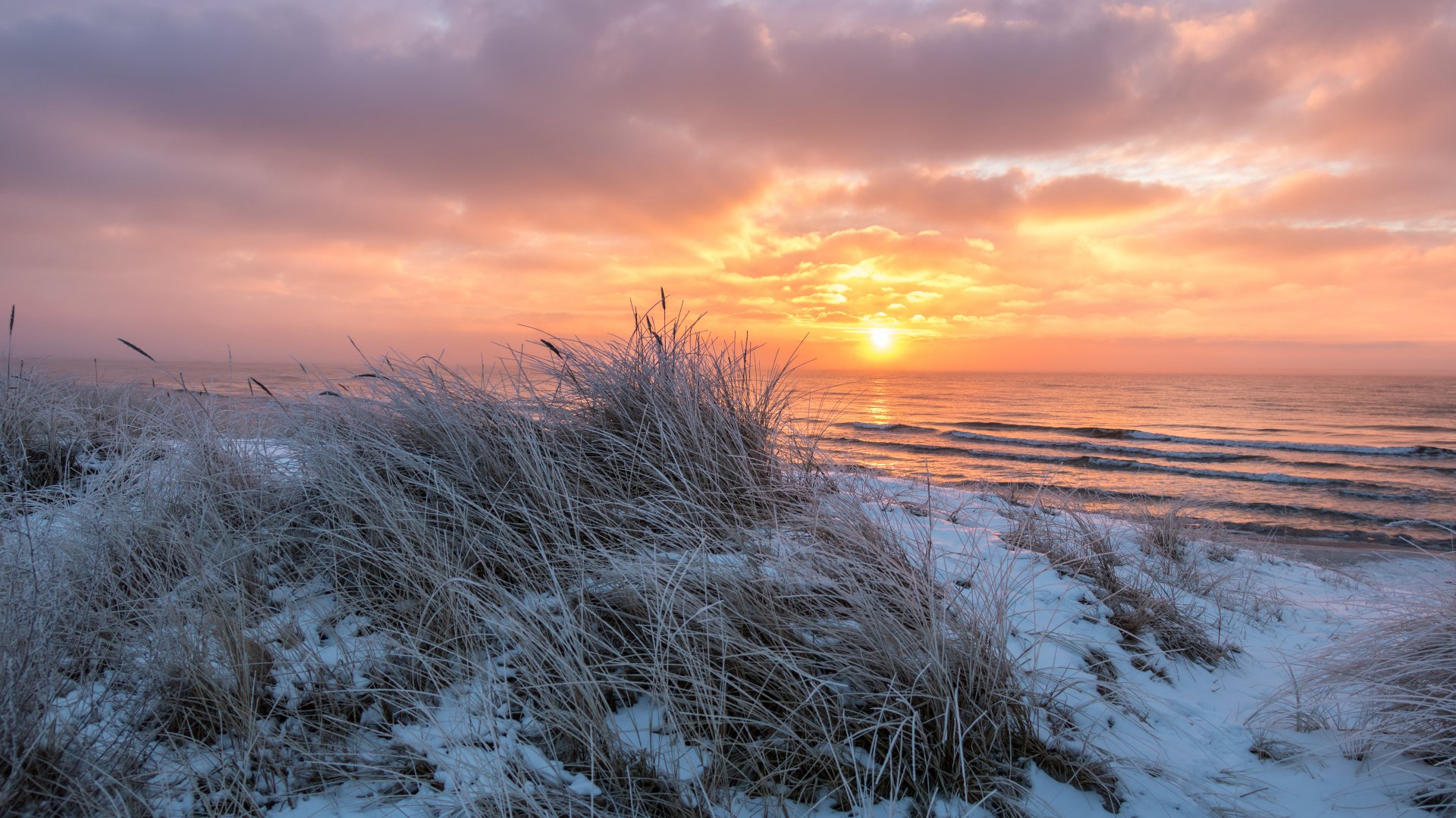 A stunning sunset over the ocean, with vibrant colors reflecting on the water, fringed by grass and sand, showcasing the beauty of nature on a tranquil beach.