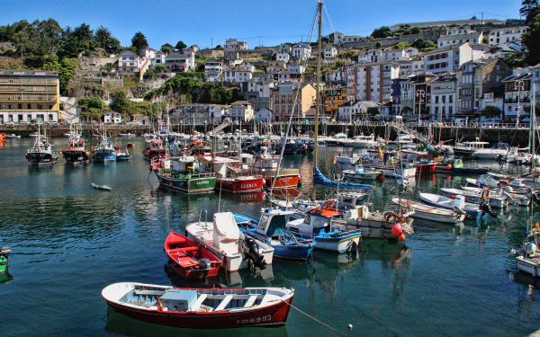 Colorful fishing boats anchored in the man-made harbor of Luarca, Asturias, Spain, with hillside town buildings in the background under a clear sky.