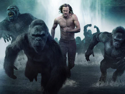 gorilla ape Tarzan Alexander Skarsgård movie The Legend of Tarzan HD Desktop Wallpaper | Background Image