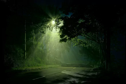 A serene, HD desktop wallpaper featuring a street light illuminating a quiet, leafy road at night, creating a mystical atmosphere with soft, diffuse light and shadows.