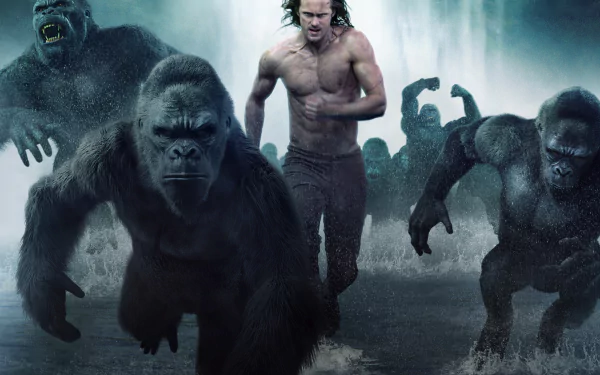 gorilla ape Tarzan Alexander Skarsgård movie The Legend of Tarzan HD Desktop Wallpaper | Background Image
