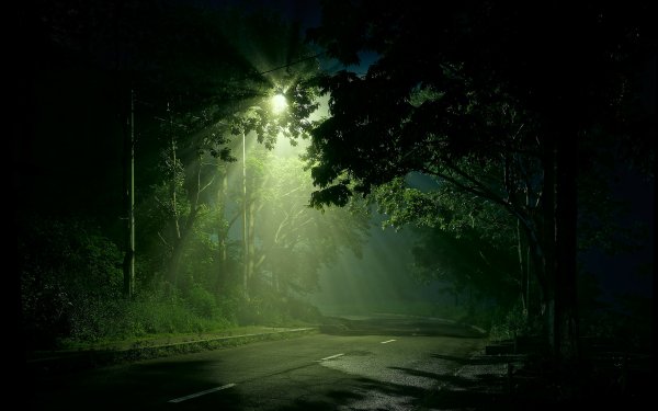 Man Made Road Street Light Light HD Wallpaper | Background Image