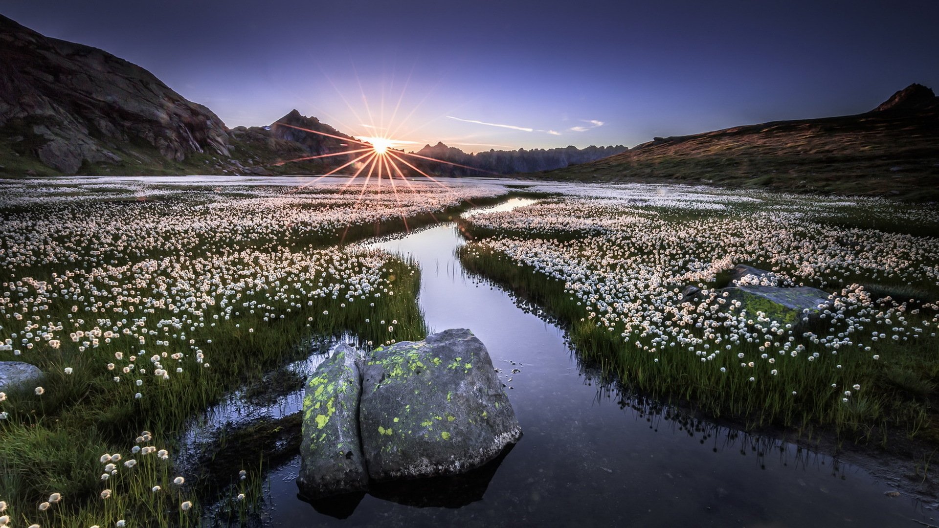 Download Stream Flower Meadow Sunbeam Sun Nature Landscape HD Wallpaper