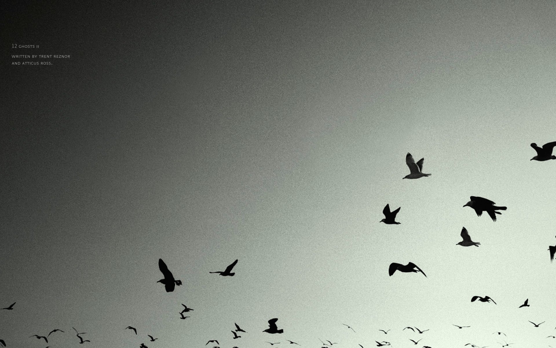 A serene black and white image of birds in flight against a soft gray background, evoking the mood of Nine Inch Nails music. A striking HD wallpaper for a PC desktop.