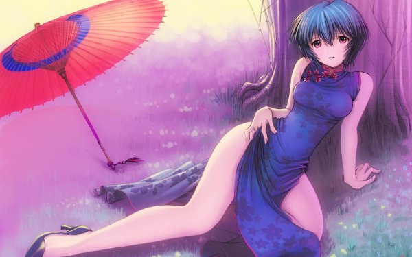 Anime Neon Genesis Evangelion Evangelion Rei Ayanami Chinese Dress HD Wallpaper | Background Image
