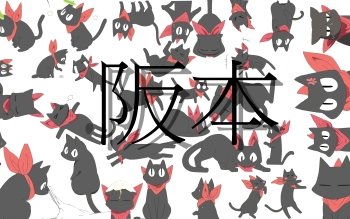 167 日常高清壁纸 桌面背景 Wallpaper Abyss 页面5