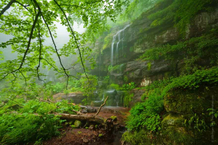 A tranquil forest scene in Bulgaria features a lush green landscape with vibrant trees and a cascading waterfall, creating a serene connection to nature. Ideal for a desktop wallpaper.
