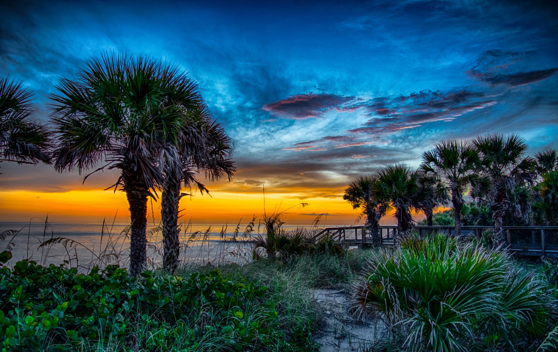 A vibrant sunset over a tropical beach, with silhouetted palm trees and a colorful sky, creating a serene natural atmosphere. An HD desktop wallpaper for nature enthusiasts.