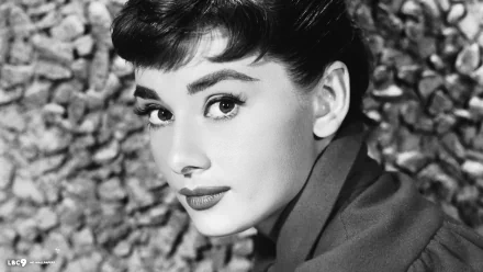 Celebrity Audrey Hepburn HD Desktop Wallpaper | Background Image