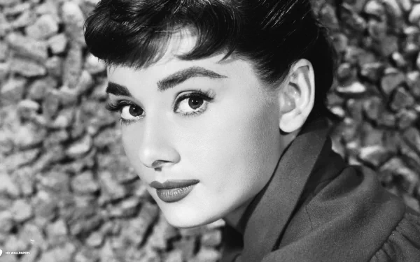 Celebrity Audrey Hepburn HD Desktop Wallpaper | Background Image