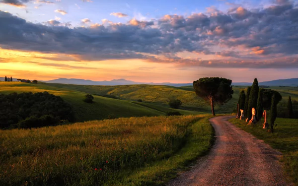 A serene Tuscan landscape featuring rolling green hills, a winding dirt road, a single tree, and a colorful sunset sky dotted with clouds, captured beautifully in high definition.