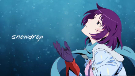 Hitagi Senjōgahara Anime Monogatari (Series) HD Desktop Wallpaper | Background Image