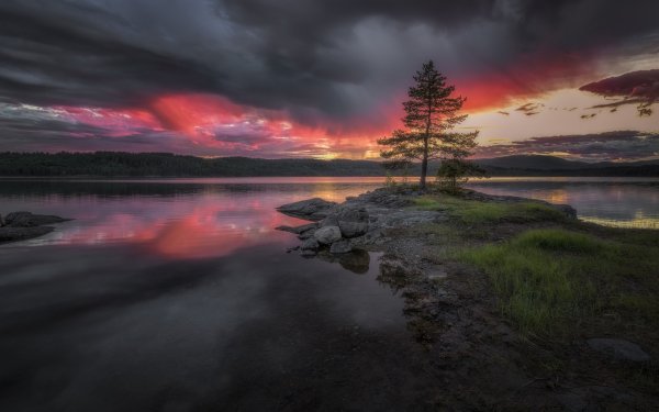 Earth Sunset Reflection Lake Tree Cloud HD Wallpaper | Background Image