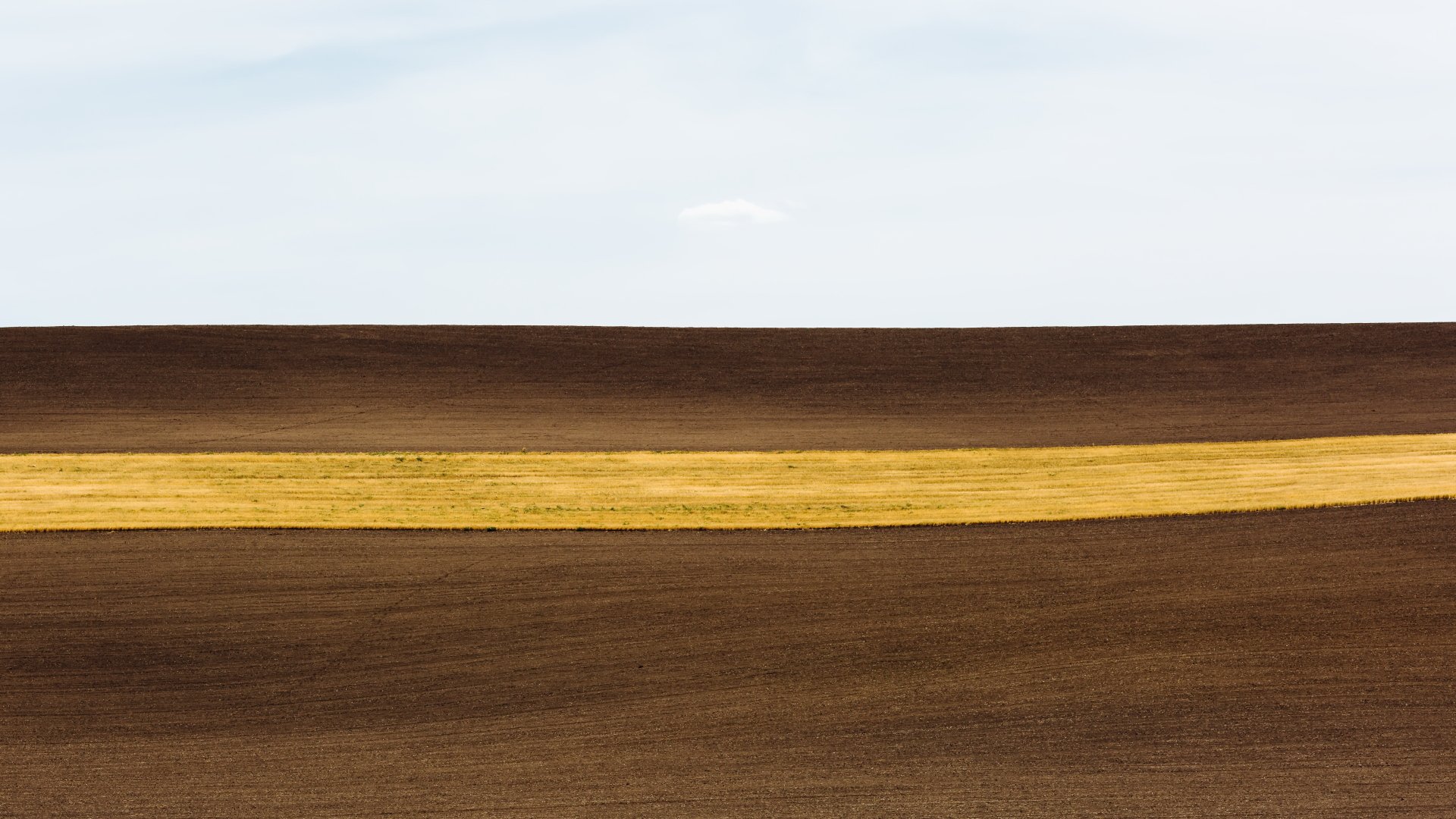 Download Nature Field 4k Ultra HD Wallpaper