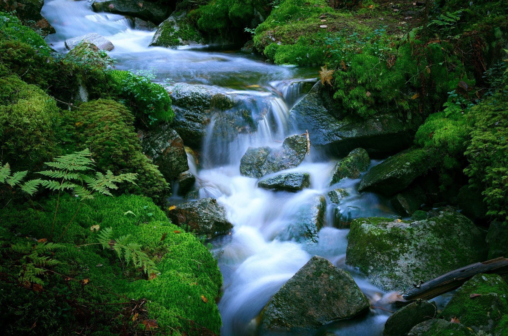 Stream 4k Ultra HD Wallpaper