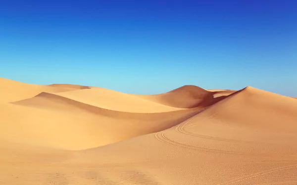 Golden desert sand dunes under a clear blue sky — 5K Ultra HD PC desktop wallpaper and background.